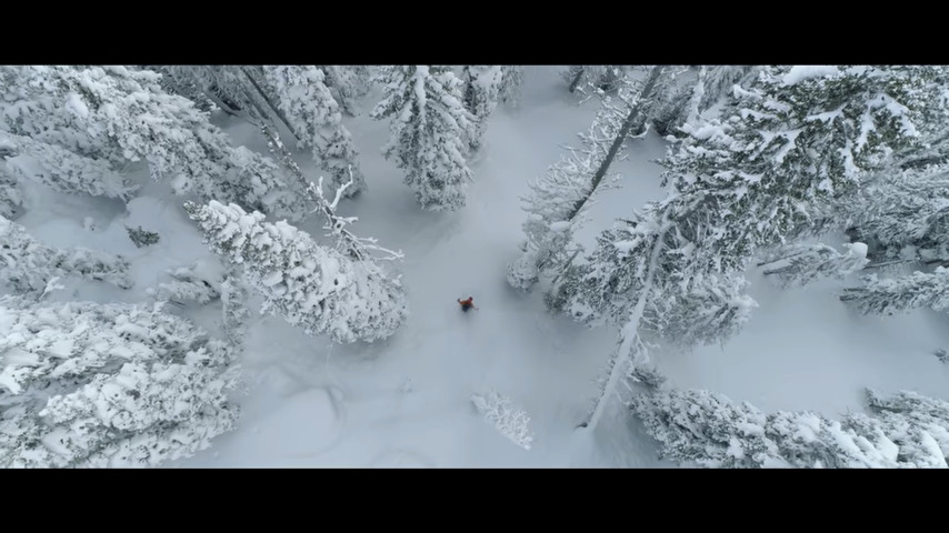 Treeline Film